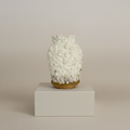 Minimal Decorative Glass Vase with Wooden Base and Natural Stones - VIR Home Collection