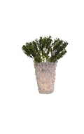Minimal Decorative plastic Vase with Wooden Base and Natural Stones - VIR Home Collection